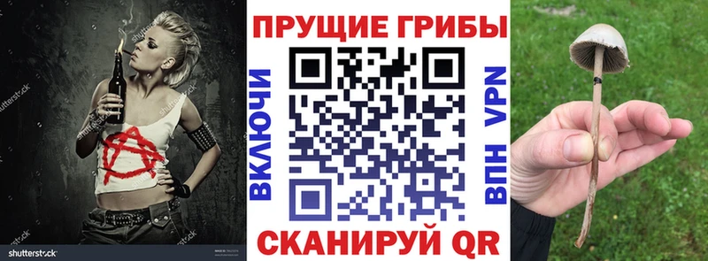 KRAKEN как войти  Северо-Курильск  Псилоцибиновые грибы MAGIC MUSHROOMS 